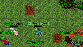 Elite Nudell on screen