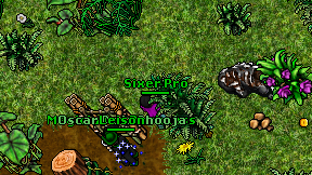 Sixer Pro on screen