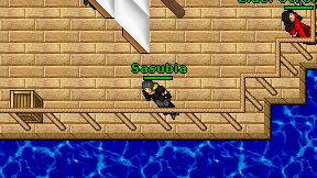 Sasubia on screen