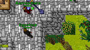 Egzotick on screen