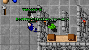 Mystical Samurai on screen