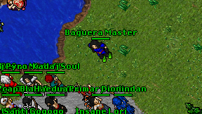 Baguera Master on screen