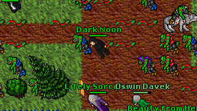 Dark Noon on screen