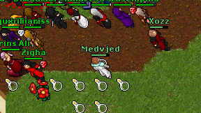 Medvjed on screen