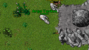 Argo Tarkss on screen