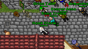 Hawk Storm on screen