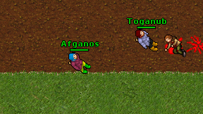 Afganos on screen