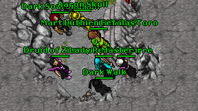 Darck Sharck on screen