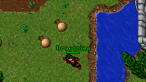 Draconiaa on screen