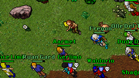 Aarmet on screen