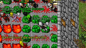 Elite Morion on screen