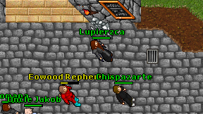 Lupierzca on screen