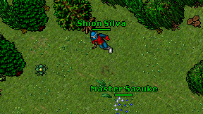 Shion Silva on screen