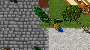 Aderaim Lolfan on screen