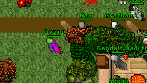 Dyzmo on screen