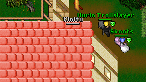 Kinitu on screen