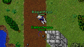 Royal Pepe on screen