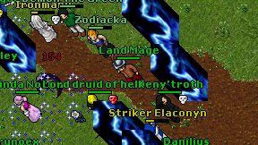Land Mage on screen