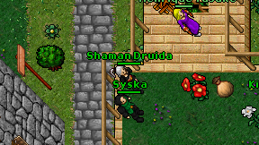 Shaman Druida on screen
