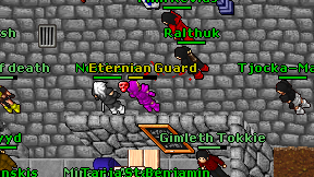 Eternian Guard on screen