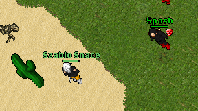 Szablo Snace on screen