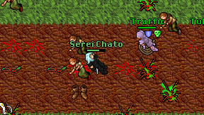 Serei Chato on screen