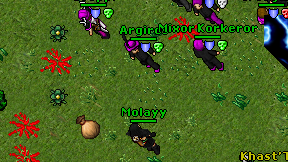 Molayy on screen