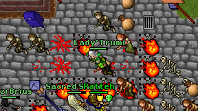 Lady'Trumi on screen