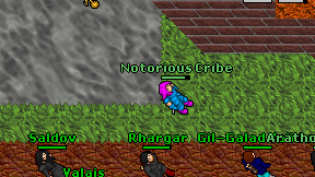 Notorious Cribe on screen