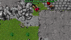 Elite Bomszek on screen