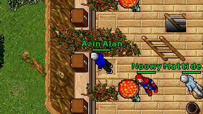 Azin Alan on screen