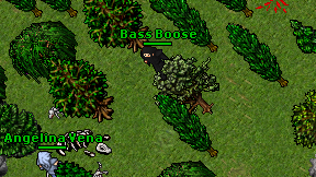 Bass Boose on screen