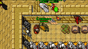 Camony on screen