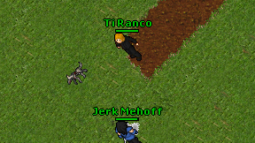 Ti Ranco on screen