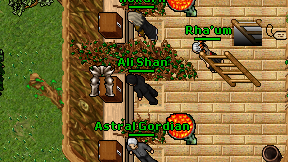 Ali Shan on screen