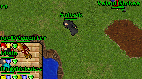 Salosik on screen