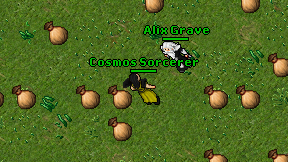 Cosmos Sorcerer on screen