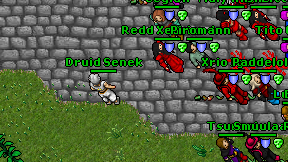 Druid Senek on screen