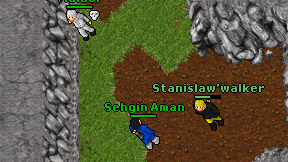 Sehgin Aman on screen