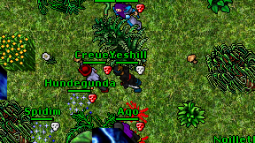 Yeshill on screen