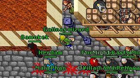 Galinas wizard on screen