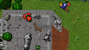 Deecon on screen