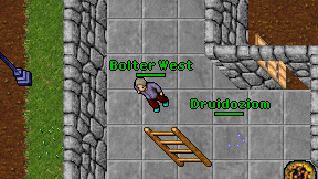 Bolter West on screen