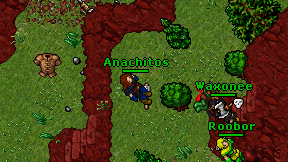 Anachitos on screen