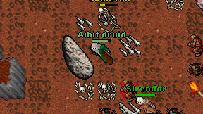 Aibit druid on screen