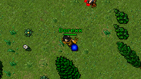 Dorexx on screen