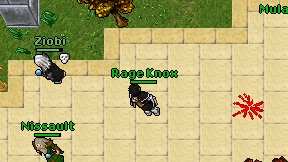 Rage Knox on screen