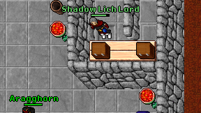 Shadow Lich Lord on screen