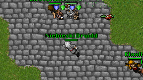 Niebieski Druidd on screen