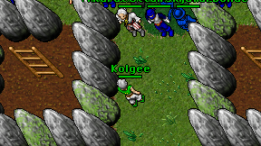 Kolgee on screen